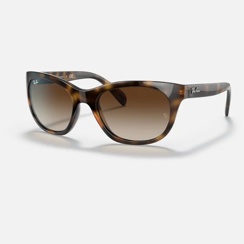 Ray-Ban Brown Tortoise Sunglasses